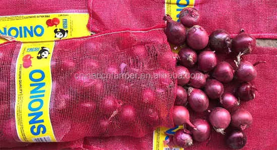 FRESH RED ONION BAG 10KG