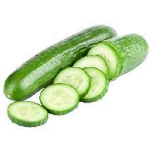 FRESH CUCUMBER 
