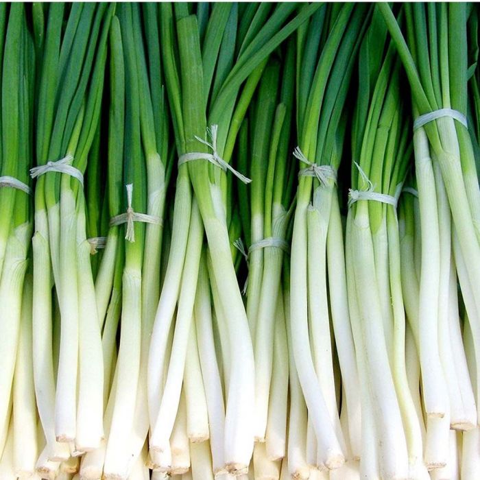 SPRING ONION SINGLE PCS 