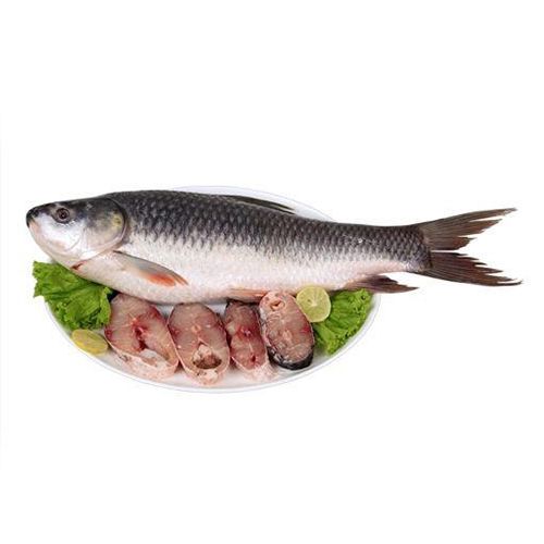 [FISHROKG] FISH ROHU (BURMESE) IQF(PER KG)