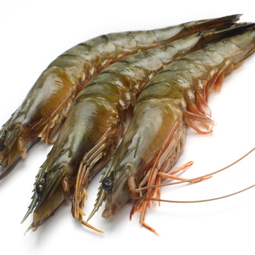[KINGP16/20] KING PRAWNS 16/20 P&D 900G