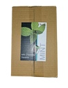 [CHOCM] MINT CHOCOLATES ZHAVID 2.5KG (500)
