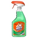 [MRMUSW750] MR MUSCLE WINDOW CLEANER 750ml
