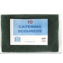 [PADGR] SCOURING PADS (GREEN) PACKET 