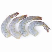 [KINGPPD21/25] KING PRAWNS 21/25 BLOCK 6X900G CASE