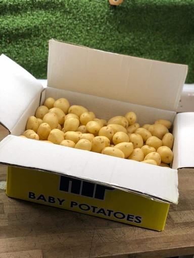 [BABYPOT] BABY POTATO BOX 10KG