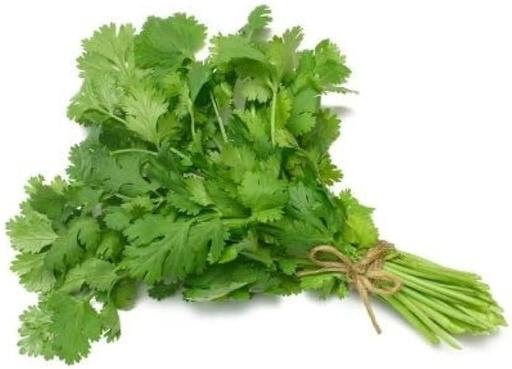[CORB] FRESH CORIANDER BUNCH