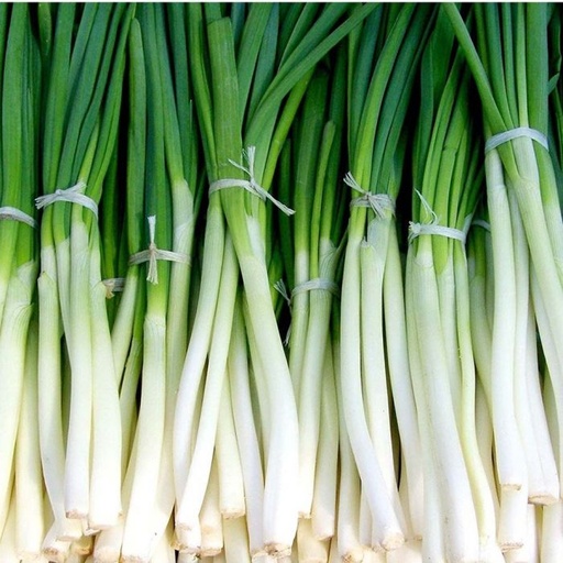 [SPRIONI] SPRING ONION SINGLE PCS 